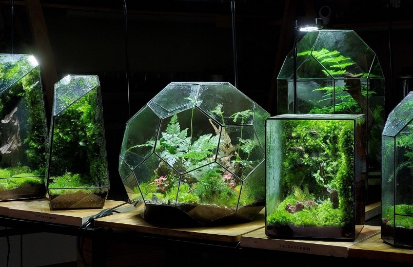 Thất nghiệp vì Covid đi nghịch rêu tạo ra dòng tranh độc đáo giá trị cả gia tài