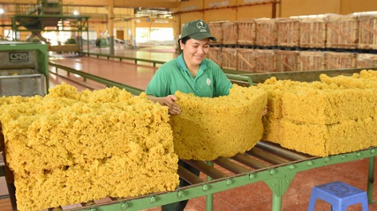 Trung Quốc là quốc gia nhập khẩu cao su lớn nhất thế giới