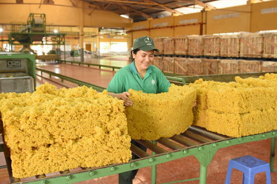 5 thị trường nhập khẩu cao su lớn nhất thế giới gồm Trung Quốc, EU, Hoa Kỳ, Malaysia, Ấn Độ.