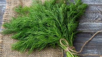 10 “siêu thực phẩm” giúp kéo dài tuổi thọ, chống ung thư được bán đầy ngoài chợ với giá rẻ bèo