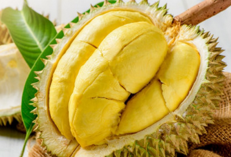 Sầu riêng Ri6 của Việt Nam có lợi thế cạnh tranh đặc biệt khi xuất khẩu sang thị trường Anh.