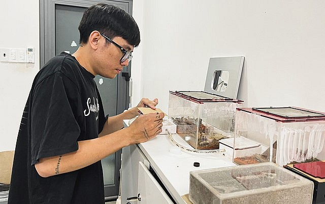 Hoàng Hiếu đến với nghề nuôi kiến cảnh từ tình yêu động vật.