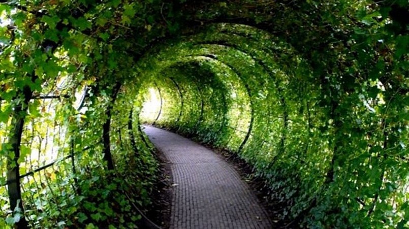 Lối vào khu vườn xanh mát.