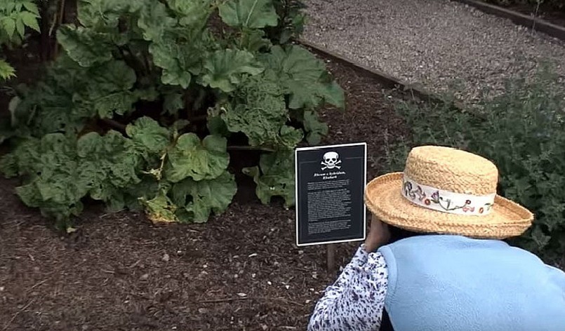 Du khách đọc những thông tin về độc tố và hướng dẫn cách phòng tránh.