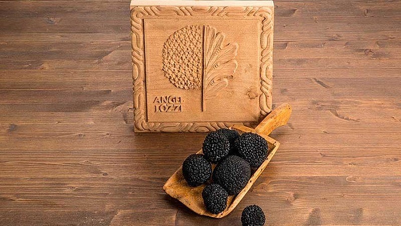 Nấm truffle đen mùa hè