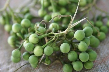 Loại quả dại xưa có đầy không ai hái, nay thành đặc sản được săn lùng