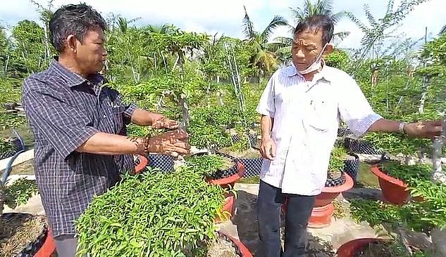 Chi hội SVC xã Thanh Nhựt 