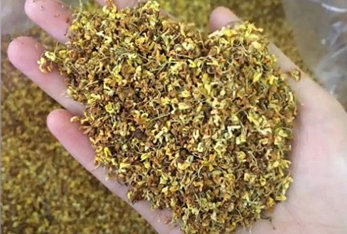 Không chỉ trồng làm cây cảnh, người ta còn sử dụng hoa của cây mộc hương để làm dược liệu hoặc ướp trà.