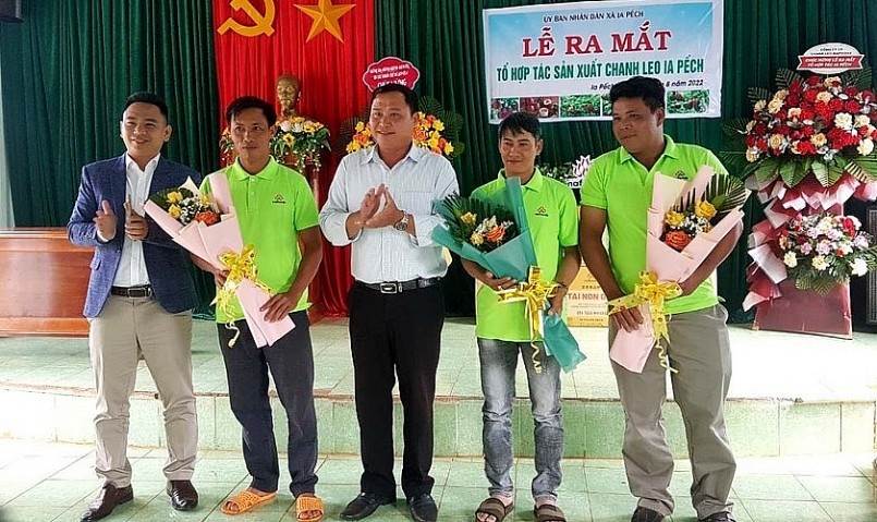 Lãnh đạo UBND xã Ia Pếch trao quyết định thành lập Tổ hợp tác sản xuất chanh leo Ia Pếch.