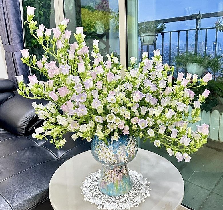 Những màu sắc phổ biến nhất của hoa Chuông là hoa Chuông vàng, hoa Chuông hồng, hoa Chuông màu trắng,.. 