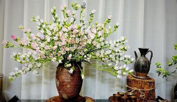 Loài hoa e ấp ngượng ngùng nhưng mạnh mẽ ví như hoa bất tử, héo rũ cho vào nước sôi lại tươi mơn mởn