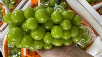 Một loại nho đang gây sốt chợ mạng, đắt hơn nho Úc nhưng lại là hàng Trung Quốc