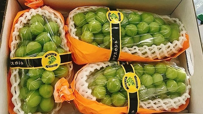 So với thời điểm cuối năm 2022, giá bán nho sữa Trung Quốc hiện nay đang cao gấp rưỡi. 