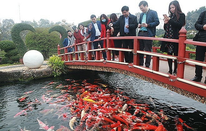 Điểm nổi bật của hồ chính là đàn cá gần 500 con có giá trị hàng chục tỷ đồng.