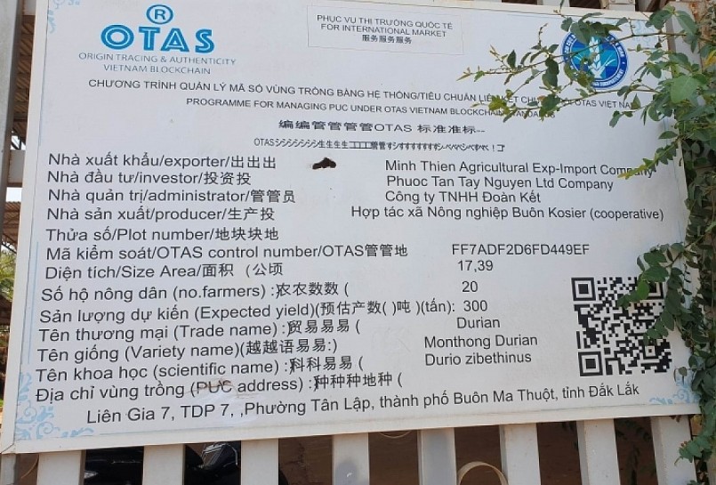 Thông tin mã vùng trồng cho thấy ngành sầu riêng phải đồng bộ nhiều khâu, thống nhất nhiều nhà.