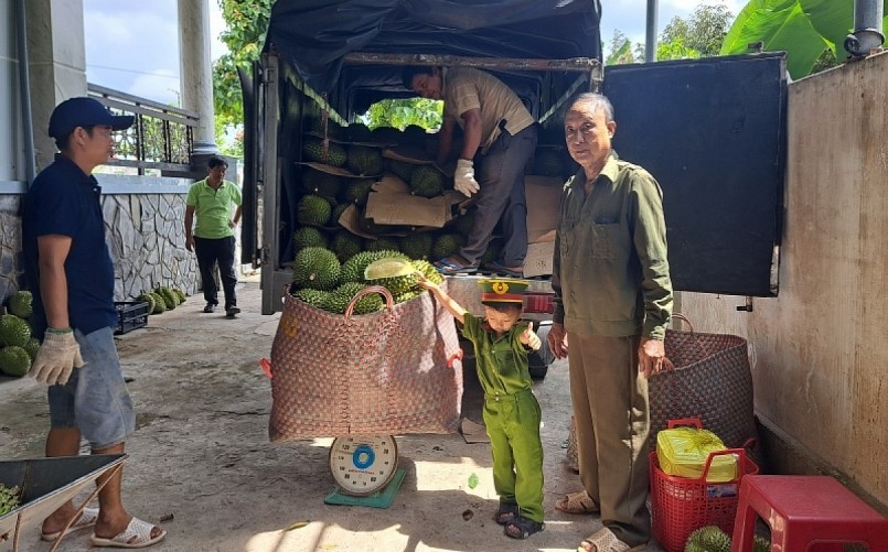 Thương lái đến tận nhà vườn để thu mua trái sầu riêng phục vụ xuất khẩu. Thương lái đến tận nhà vườn để thu mua trái sầu riêng phục vụ xuất khẩu.