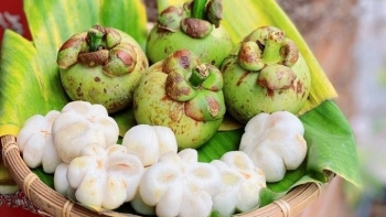 Nữ hoàng trái cây tưởng chỉ ăn chín ai ngờ quả xanh giá nửa triệu/kg vẫn cháy hàng