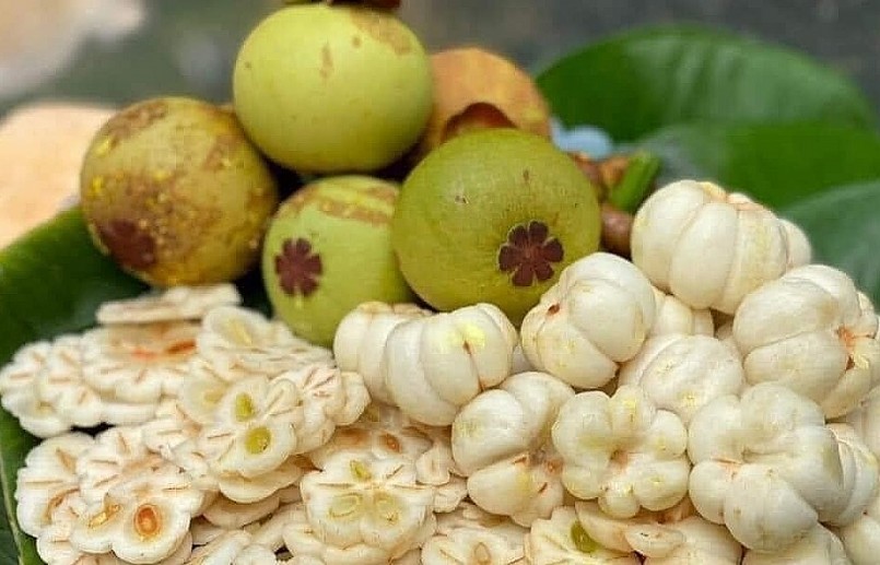 Măng cụt xanh được các cửa hàng sơ chế để bán cho khách hàng ở TP HCM.