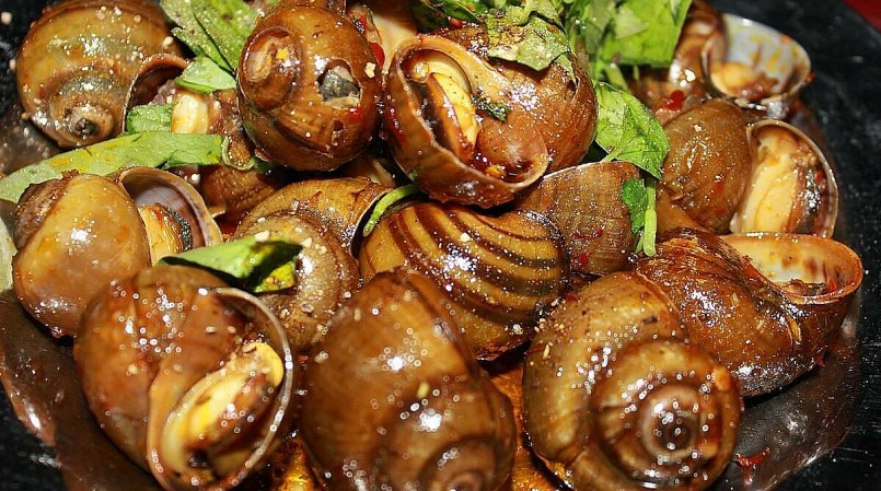 Ốc có nhiều chất dinh dưỡng nhưng có những người phải tránh không được ăn ốc.