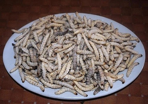 5 đặc sản làm từ sâu khiến khách nước ngoài sợ hãi tột cùng, nhưng một khi đã biết ăn là sẽ “nghiện”