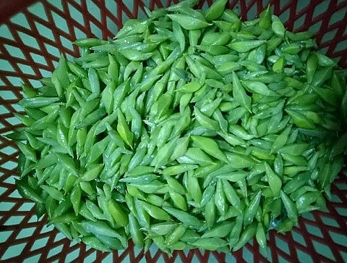 5 món ăn làm từ sâu khiến khách nước ngoài sợ hãi tột cùng, nhưng một khi đã biết ăn là sẽ “nghiện”