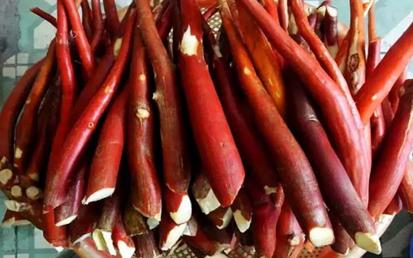 Cả Đông y và Tây y đều đánh giá cao giá trị dược liệu của sâm cau.