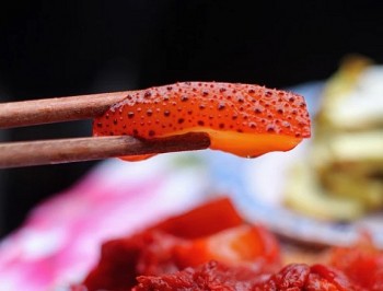 Ai không nên ăn sứa đỏ?