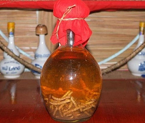 Đặc sản xưa ít người dám ăn, giờ được các nhà hàng "săn lùng" vì hương vị độc đáo, 250.000 đồng/kg