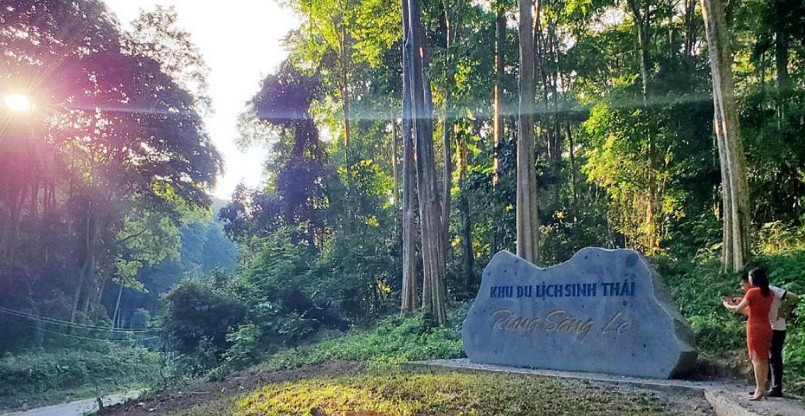 Du khách mỗi khi đi qua đây đều dừng chân để nghỉ ngơi, khám phá và ghi lại khoảnh khắc đẹp ở cánh rừng săng lẻ đẹp nhất Đông Dương.