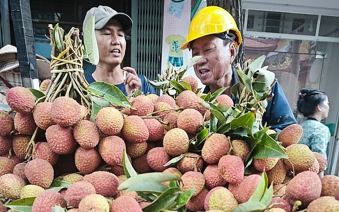 Thời điểm này người dân các tỉnh phía Nam đã được ăn vải thiều trước 1 tháng so với miền Bắc.