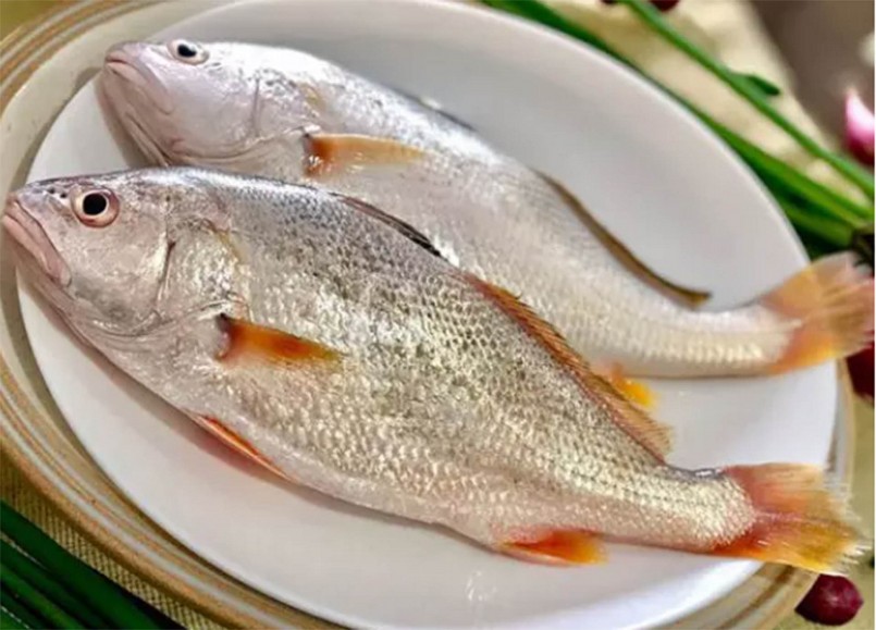 Cà lù đù nay thành đặc sản đắt tiền