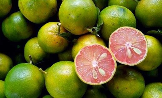 Chữa ho hiệu quả từ chanh đào mật ong