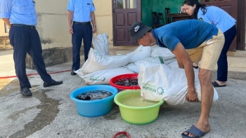 Quảng Bình: Tiêu hủy đường nhập lậu, giày dép giả mạo nhãn hiệu
