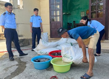 Quảng Bình: Tiêu hủy đường nhập lậu, giày dép giả mạo nhãn hiệu