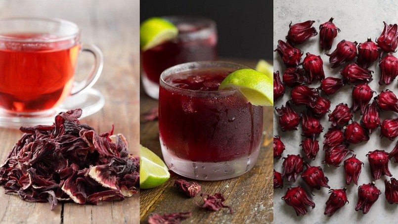 Những điều bạn cần biết về các loại trà thảo mộc