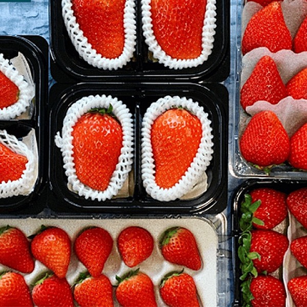 Điều kì diệu khiến giống dâu tây King Berry của Hàn Quốc làm chao đảo các tín đồ dâu tây Việt Nam