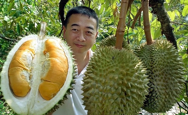 Tháng 6 năm nay Trung Quốc sẽ thu hoạch sầu riêng điều này ít nhiều tác động tới thị trường xuất khẩu vào thị trường tỷ dân này.