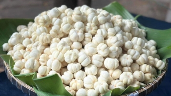 Bắt "trend" mạng xã hội, gọt măng cụt xanh trở thành nghề "hot", thu nhập tiền triệu mỗi ngày