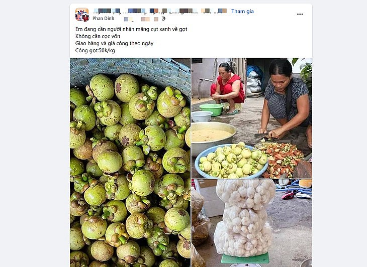 Hàng loạt chủ vựa đăng bài tìm kiếm nhân công chỉ để... gọt măng cụt cung cấp cho thị trường - Ảnh chụp màn hình Hàng loạt chủ vựa đăng bài tìm kiếm nhân công chỉ để... gọt măng cụt cung cấp cho thị trường - Ảnh chụp màn hình