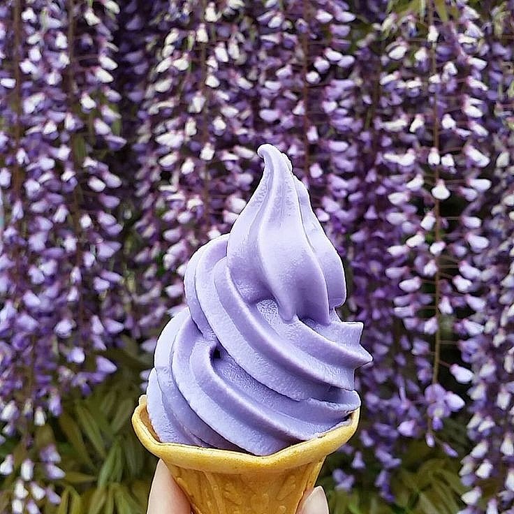 Kem từ hoa tử đằng