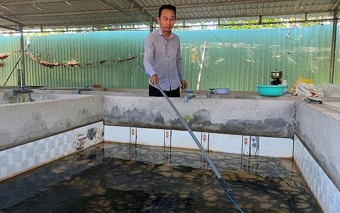 Anh Trần Tấn Giang kiểm tra lươn thương phẩm.