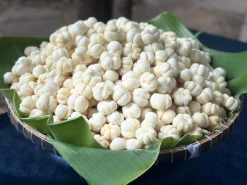 Bắt "trend" mạng xã hội, gọt măng cụt xanh trở thành nghề "hot", thu nhập tiền triệu mỗi ngày