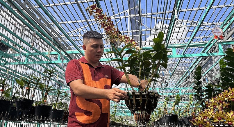 Anh Quyền chăm sóc chậu lan Dendro, dòng lan anh ưa thích.