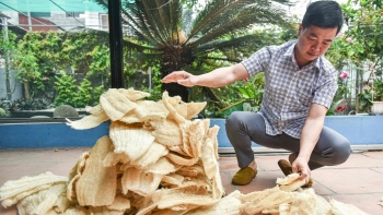 Giám đốc ngân hàng lương tháng 100 triệu xin nghỉ về quê trồng mướp, xuất khẩu thứ không ngờ tới