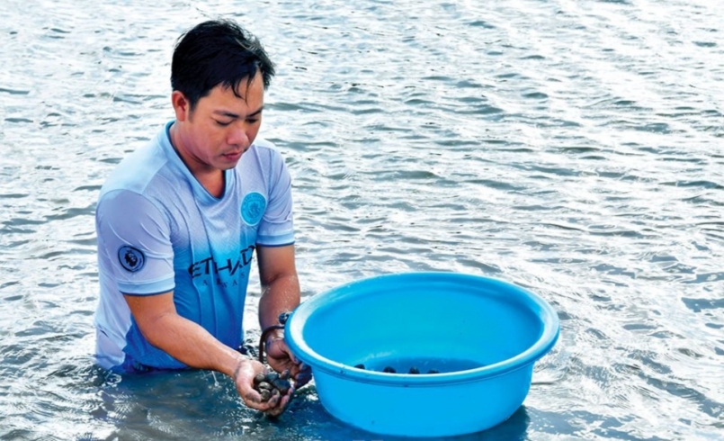 Anh Nguyễn Tuấn Dủ kiểm tra kích cỡ sò huyết thương phẩm