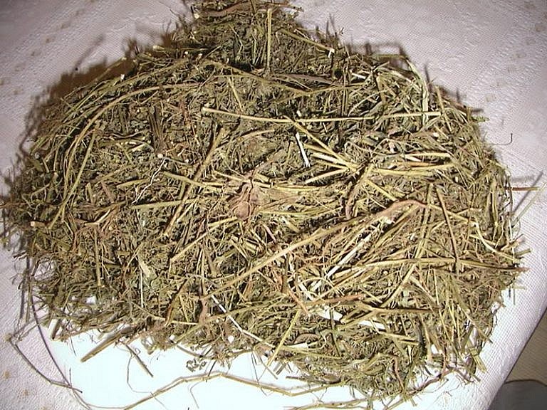 Giá cỏ mần trầu khô lên đến 70.000 đồng/kg