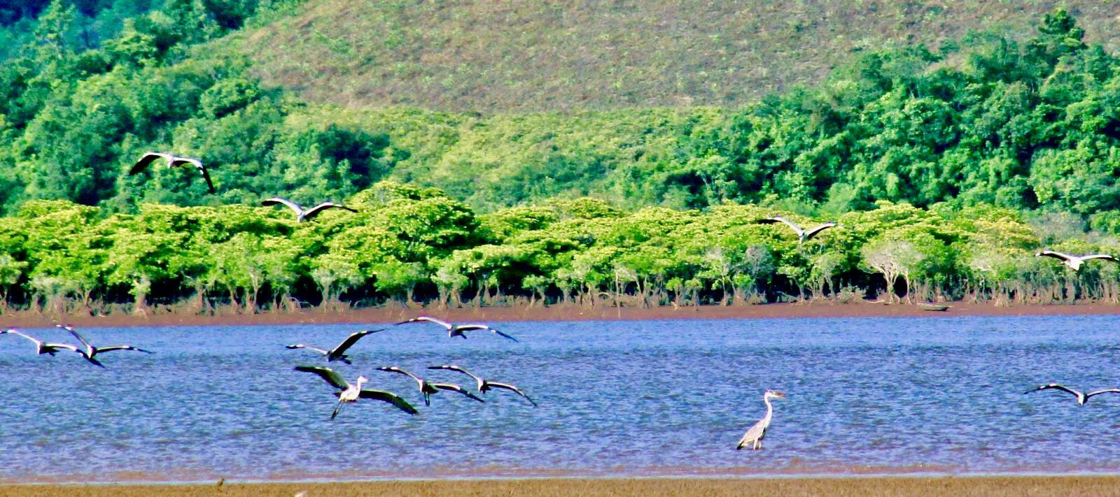 Tiên Yên phát huy tiềm năng du lịch