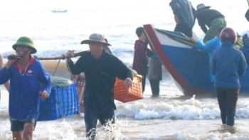 Ngư dân Hà Tĩnh trúng mùa cá, thu nhập “chục triệu” chỉ sau một đêm