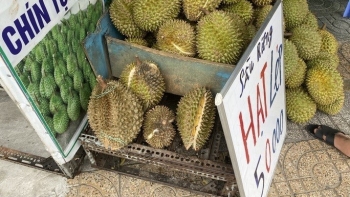 Những chiêu ăn theo sầu riêng rớt giá, sự thật đằng sau những biển báo bán sầu riêng 50.000 đồng/kg