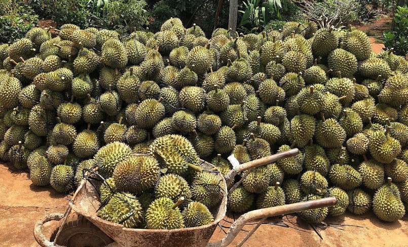 50.000 đến 56.000 đồng/kg tùy từng loại